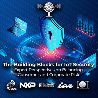 The Building Blocks for IoT Security - Expert Perspectives on Balancing Consumer and Corporate Risk