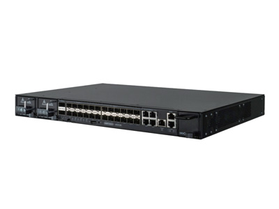 CSR300 - 30x 10G SFP+ Cell Site Router