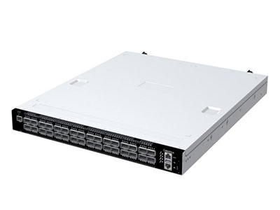 DS3000 - 1U 32x Port 100G Data Center Switch - EPSGlobal